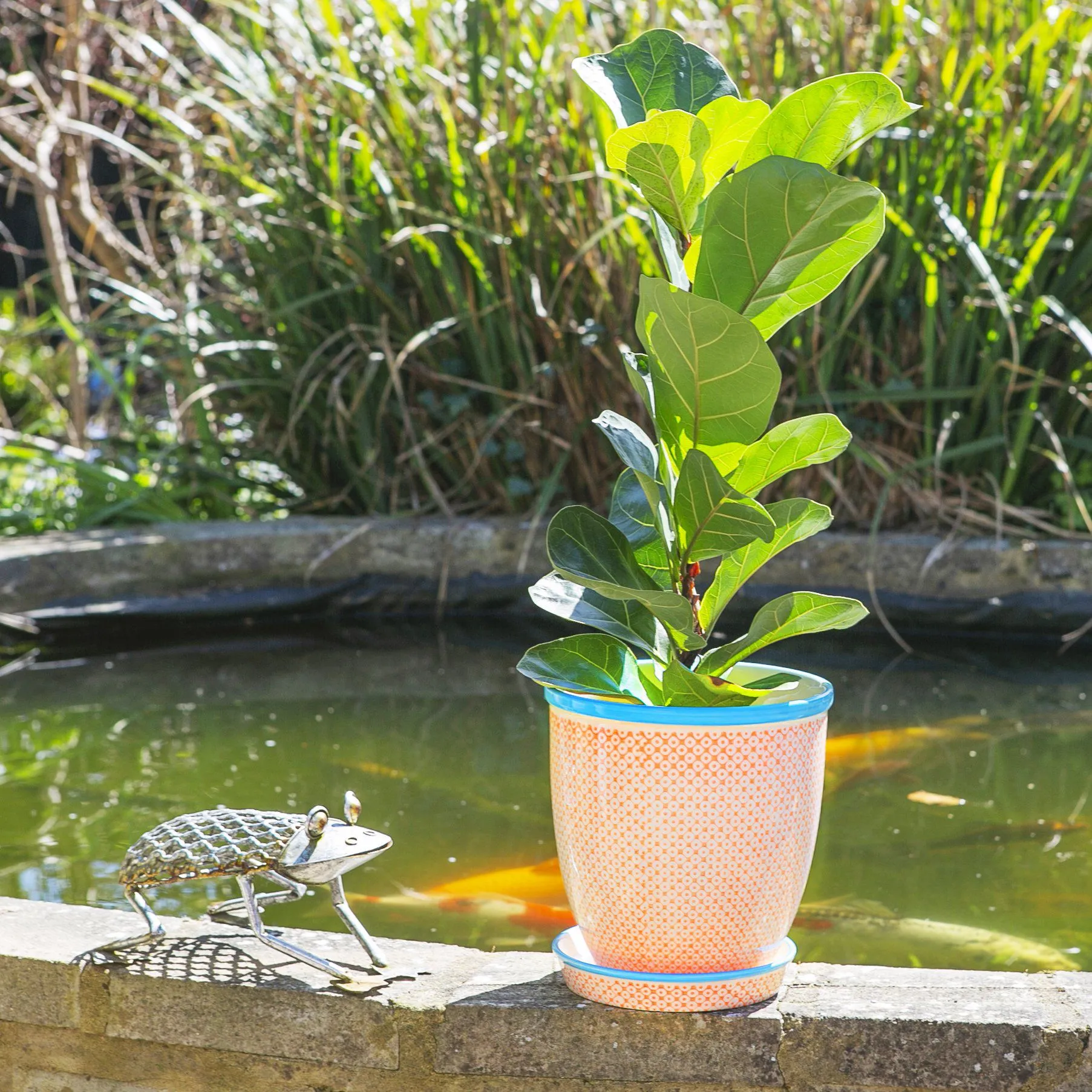 20cm Hand Printed Stoneware Plant Pot with Saucer - By Nicola Spring